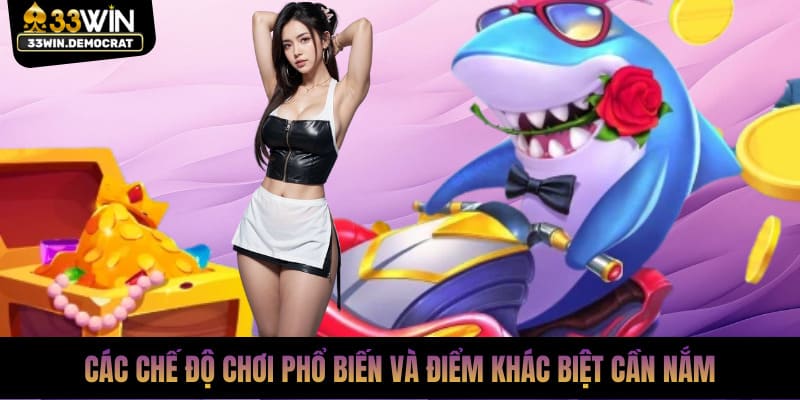 Các chế độ chơi phổ biến và điểm khác biệt cần nắm