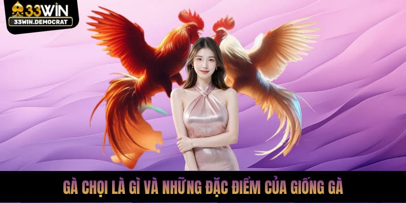 Những đặc điểm của giống gà chọi