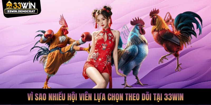 Vì sao nhiều hội viên lựa chọn theo dõi tại 33win