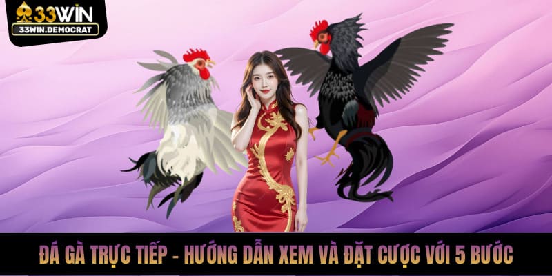 Đá Gà Trực Tiếp - Hướng Dẫn Xem Và Đặt Cược Với 5 Bước