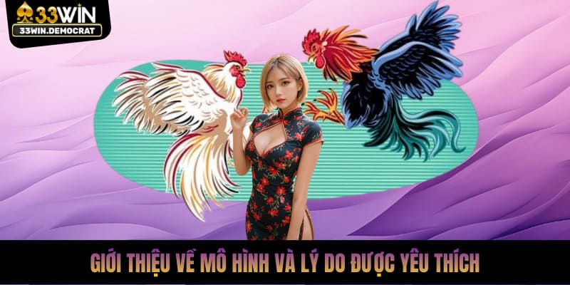 Giới thiệu về mô hình đá gà online và lý do được yêu thích