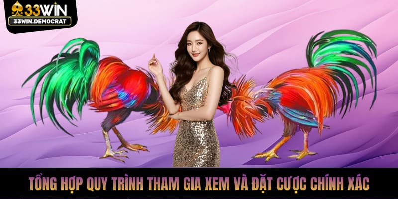 Tổng hợp quy trình tham gia xem và đặt cược chính xác